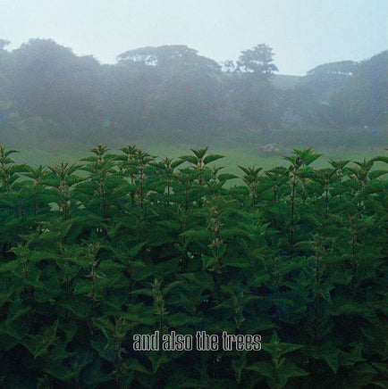 And Also The Trees And Also The Trees (Rex) | RSD DROP - Vinyl