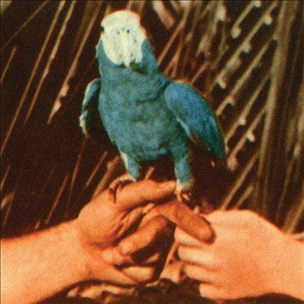 Andrew Bird ARE YOU SERIO(LP/DLX - Vinyl