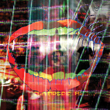 Animal Collective Centipede HZ (MP3 Download) (2LP) - Vinyl