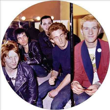 Damned Pure Punk: 1977-1982 Limited Edition Picture Vinyl - Vinyl