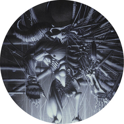 Danzig Danzig 5: Blackacidevil (Picture Disc Vinyl) - Vinyl