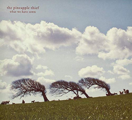 The Pineapple Thief What We Have Sown - Vinyl