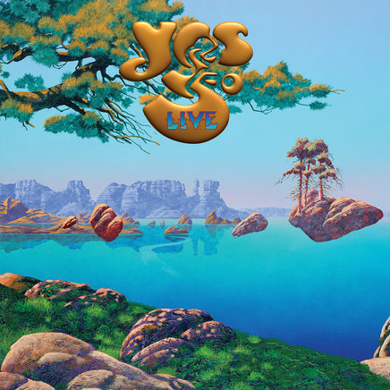 Yes Yes 50 Live (4LP)(Brick & Mortar / D2C Exclusive) - Vinyl