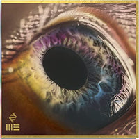 Arcade Fire WE (Amazon Exclusive, Colored Vinyl, Brown Marble, 180 Gram Vinyl, Sticker) - Vinyl