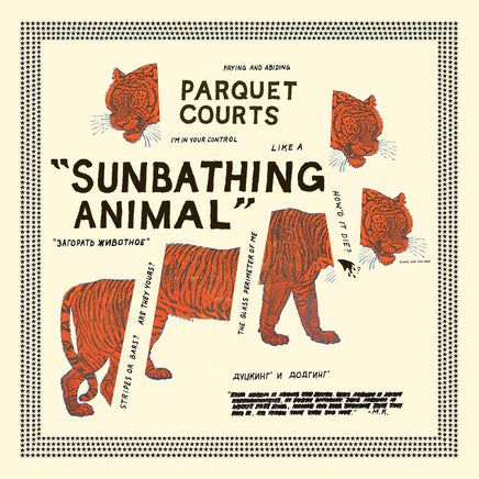 Parquet Courts Sunbathing Animal - Vinyl