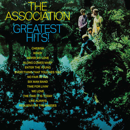 The Association The Association's Greatest Hits (Limited Edition, Metallic Silver Colored Vinyl, Anniversary Edition) - Vinyl