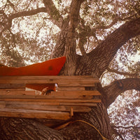 The Backseat Lovers Waiting To Spill (Indie Exclusive, Clear Vinyl) - Vinyl