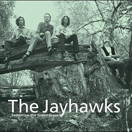 The Jayhawks Tomorrow the Green Grass - Vinyl