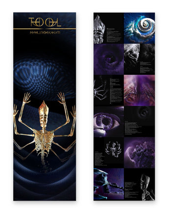 Tool Fear Inoculum - Vinyl