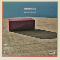 Toro Y Moi Freaking Out - Vinyl