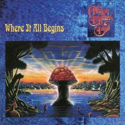 Allman Brothers Band Where It All Begins - Vinyl