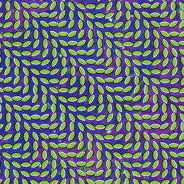 Animal Collective MERRIWEATHER POST PAVILION - Vinyl