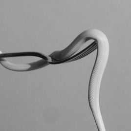 Animals As Leaders Parrhesia (Neon Orange) [INDIE EX] - Vinyl