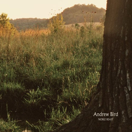 BIRD,ANDREW NOBLE BEAST - Vinyl