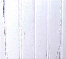 Beach Fossils BEACH FOSSILS - Vinyl