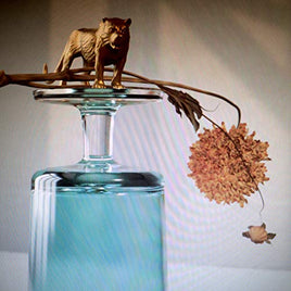 Beirut Gallipoli (Indie Exclusive) - Vinyl