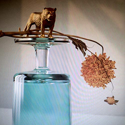 Beirut Gallipoli (Indie Exclusive) - Vinyl