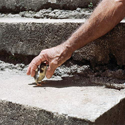 Big Thief Mythological Beauty ("CONCRETE" GRAY VINYL) - Vinyl