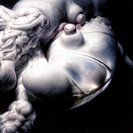 Bjork Arisen My Senses - Vinyl