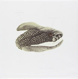 Brand New Mene (7" Single) - Vinyl