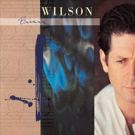 Brian Wilson BRIAN WILSON - Vinyl