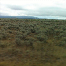 Caroline Says 50,000,000 ELVIS FANS CAN'T BE WRONG - Vinyl