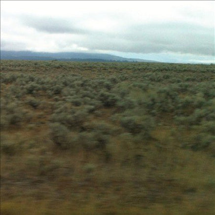 Caroline Says 50,000,000 ELVIS FANS CAN'T BE WRONG - Vinyl