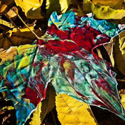 Chon Grow | RSD DROP - Vinyl