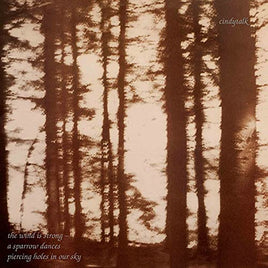Cindytalk Wind Is Strong - Vinyl