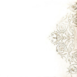 Damien Jurado & NOW THAT I'M IN YOUR SHADOW - Vinyl