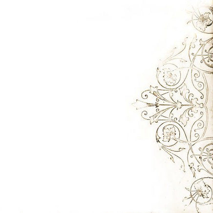 Damien Jurado & NOW THAT I'M IN YOUR SHADOW - Vinyl