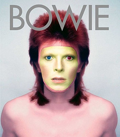 David Bowie Bowie: Album By Album - Vinyl