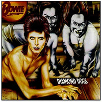 
              David Bowie Diamond Dogs (Brick & Mortar Exclusive | Red Vinyl | 45th Anniversary) - Vinyl
            