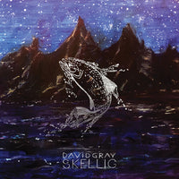 
              David Gray Skellig (Gatefold LP Jacket) (2 Lp's) - Vinyl
            