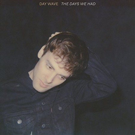 Day Wave THE DAYS WE HAD (LP) - Vinyl