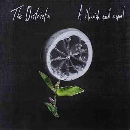 Districts FLOURISH AND A SPOIL - Vinyl