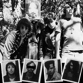 Dwarves LICK IT - Vinyl