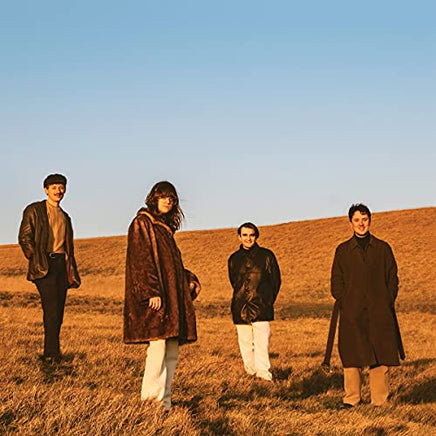 FUR When You Walk Away [LP] - Vinyl