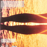 
              Fatboy Slim Halfway Between the Gutter and the Stars [Import] - Vinyl
            