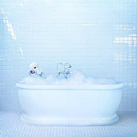 Frankie Cosmos Vessel - Vinyl