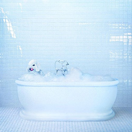Frankie Cosmos Vessel - Vinyl