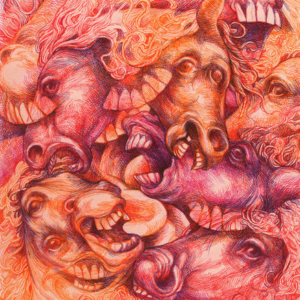 HORSE TORSO WOLF WHO CRIED BOY - Vinyl
