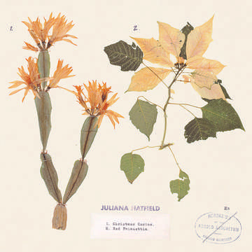 Hatfield, Juliana Christmas Cactus/Red Poinsettia (RSD Black Friday 11.27.2020) - Vinyl