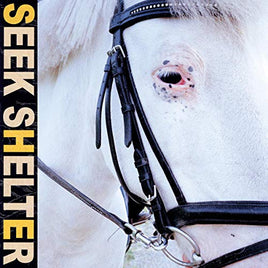 Iceage Seek Shelter [LP] - Vinyl