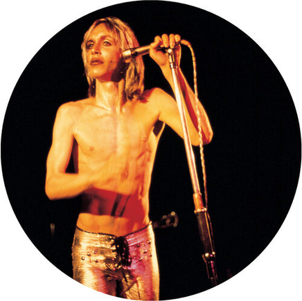 Iggy & The Stooges More Power - A Gorgeous Picture Disc Vinyl (Picture Disc Vinyl LP, Remastered) - Vinyl