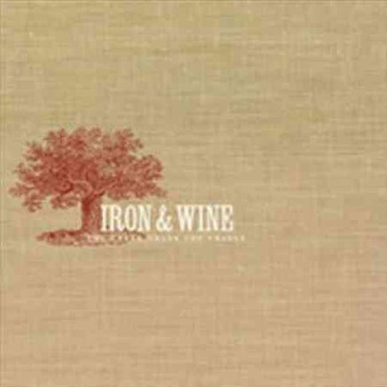 Iron & Wine CREEK DRANK THE CRADLE - Vinyl