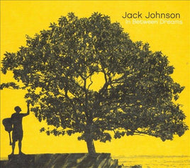 Jack Johnson In Between Dreams - Vinyl