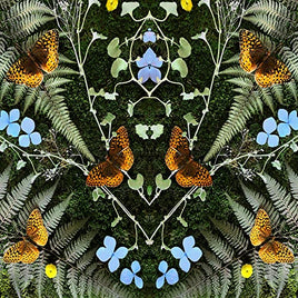 Jean-Michel Blais aubades [LP] - Vinyl