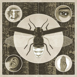 Jerry Cantrell Brighten (180 Gram Vinyl, Colored Vinyl, Blue) - Vinyl