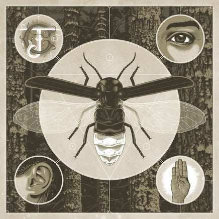 Jerry Cantrell Brighten (180 Gram Vinyl, Colored Vinyl, Blue) - Vinyl